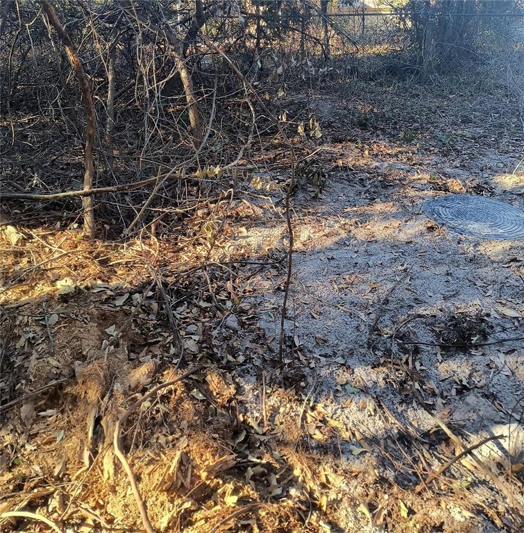 Picture 12
