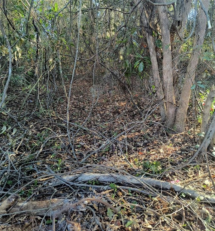 Picture 16