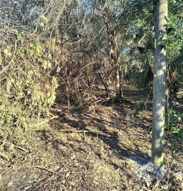Picture 5