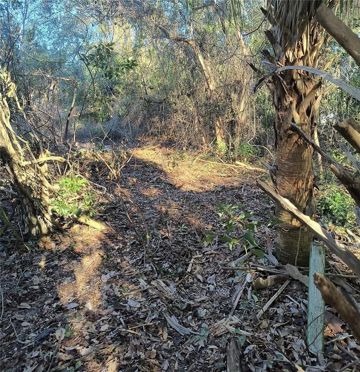 Picture 8