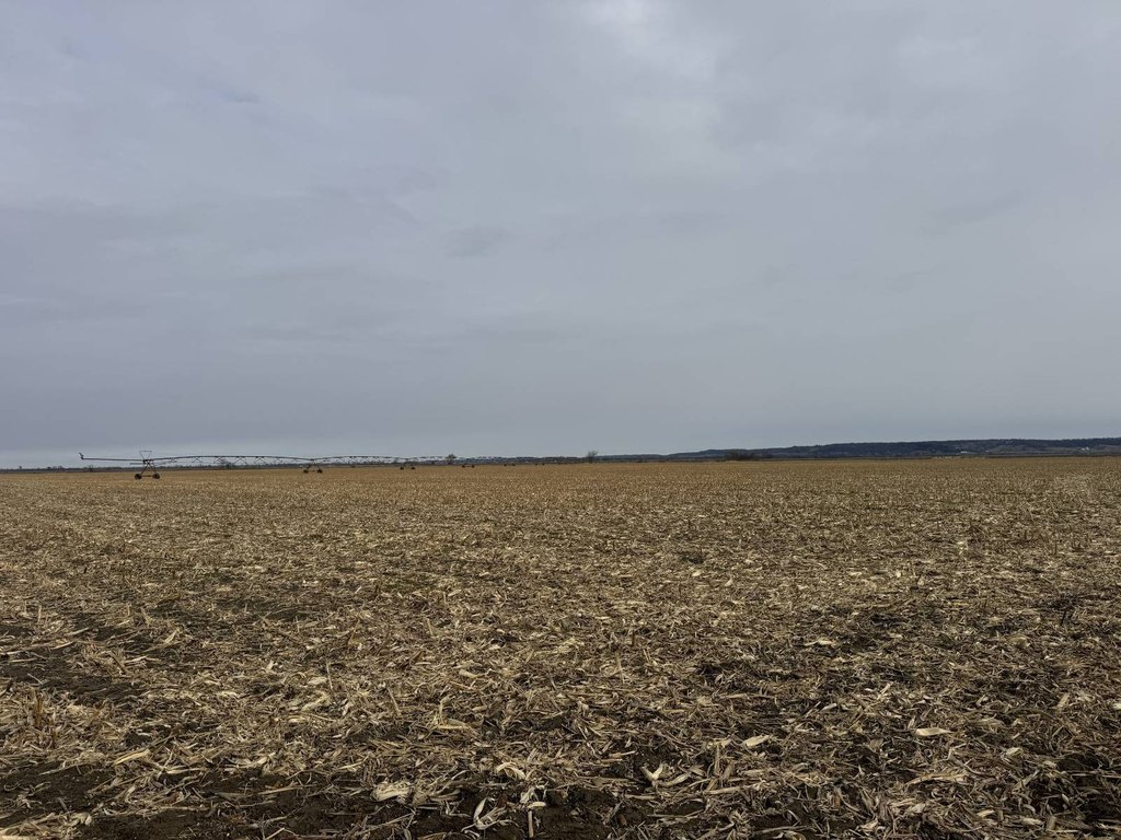 Picture 20