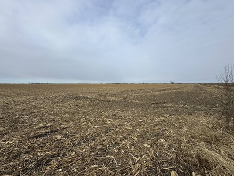Irrigated Farmland