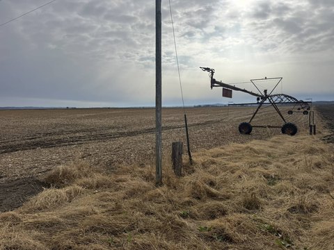 Irrigated Farmland with Tiled Fields