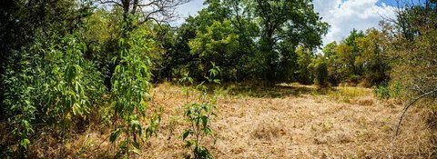 Land, Terrell, TX