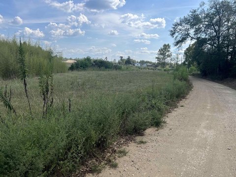 LAND, Tenaha, TX