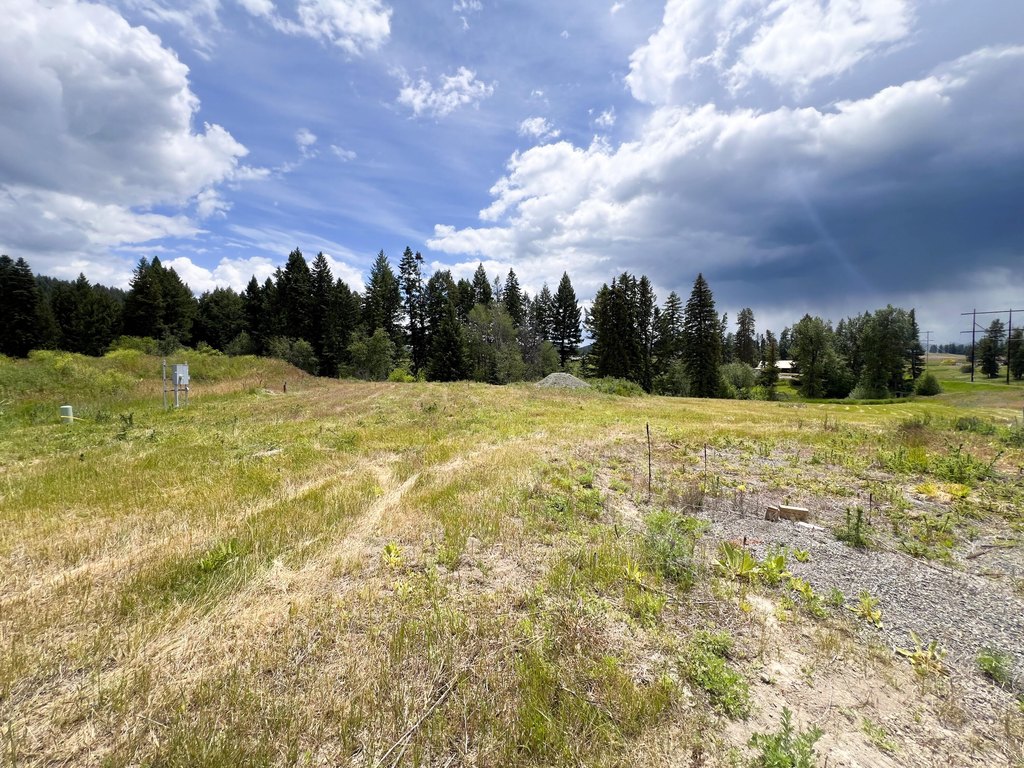 Picture 13