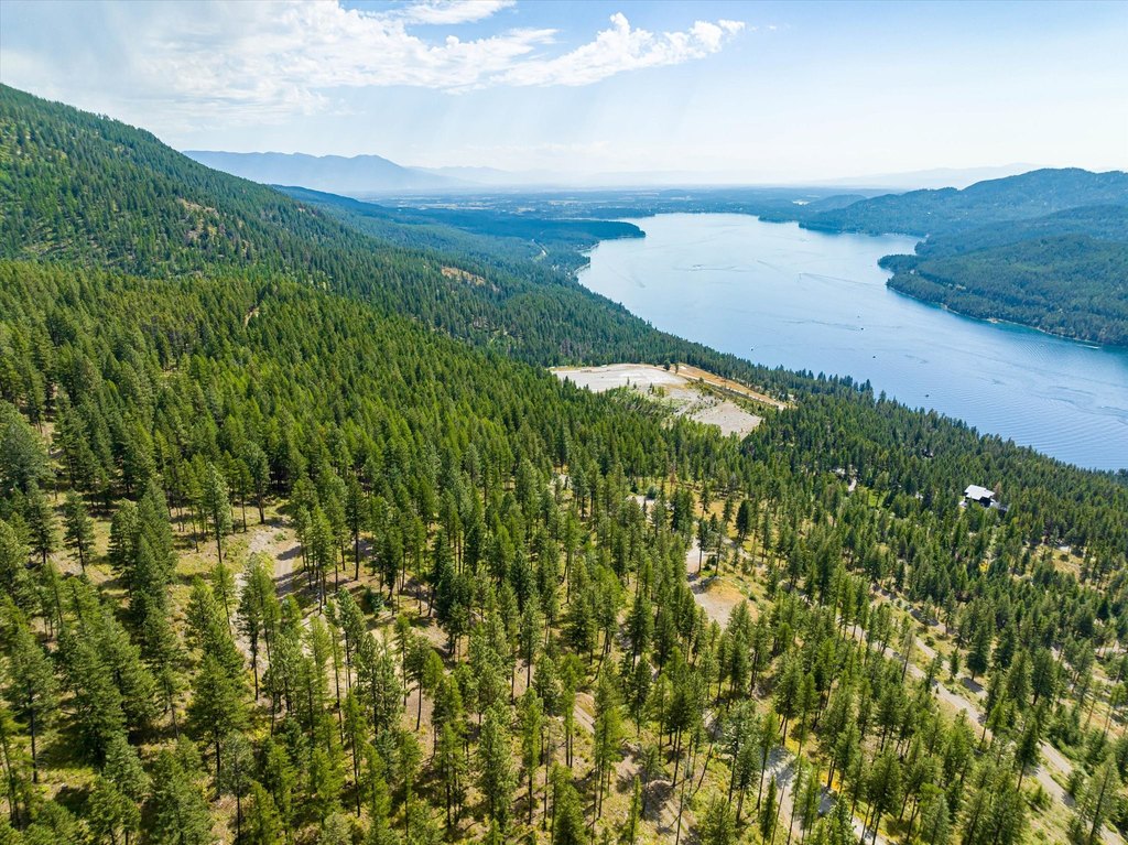 Picture 24