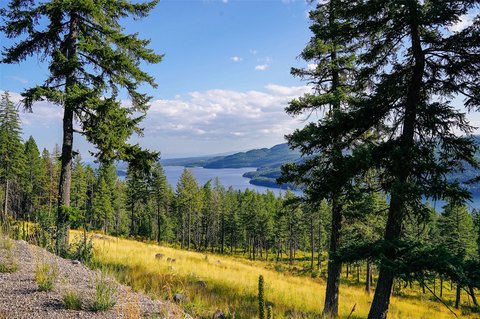 Land, Whitefish, MT