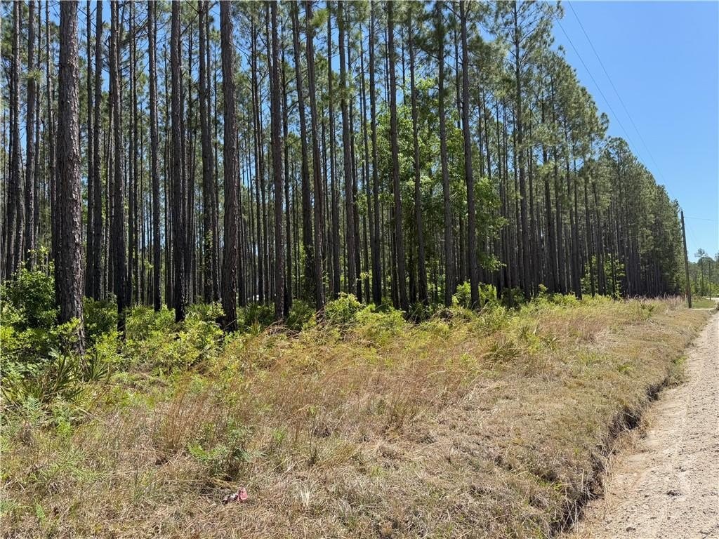 8.84 Acres in Waycross, GA