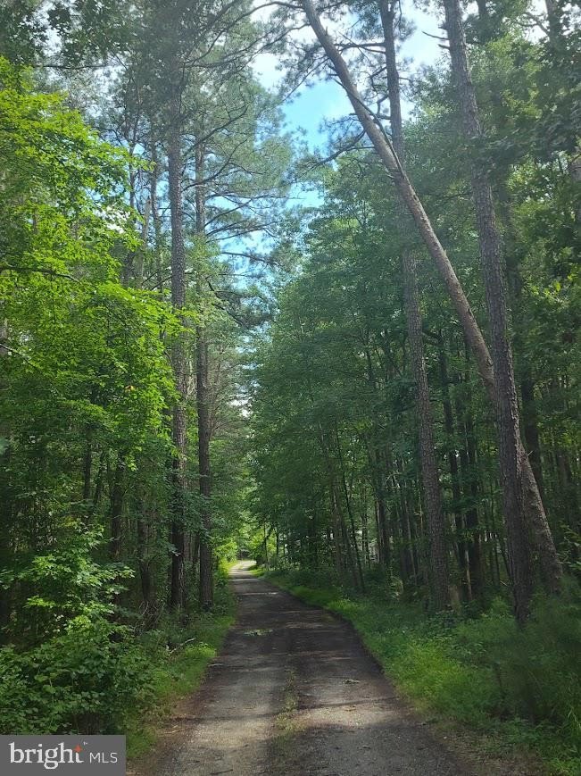 Land For Sale in Brandywine