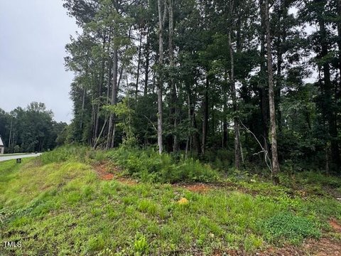 Residential Land in McLaurin Farm