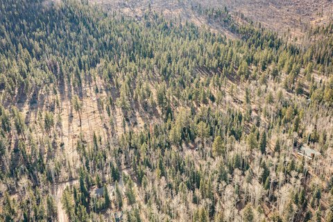 Land with National Forest Access