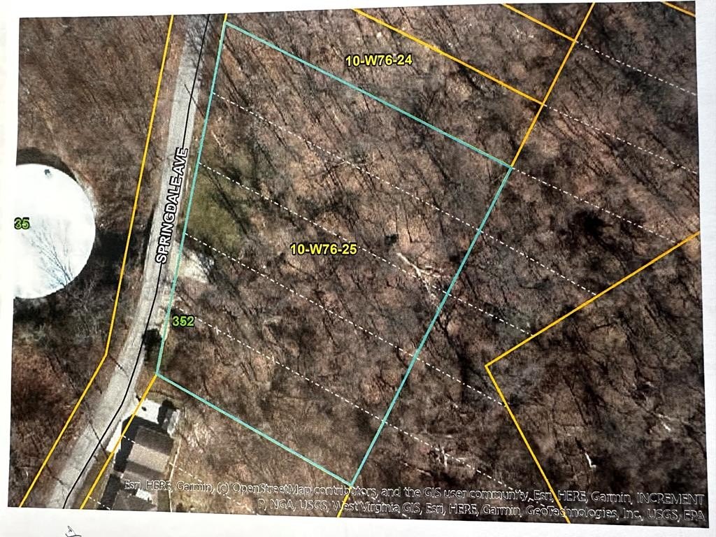 Picture 5