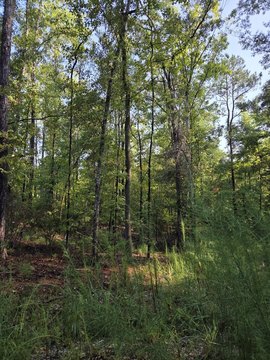 Land, Fortson, GA