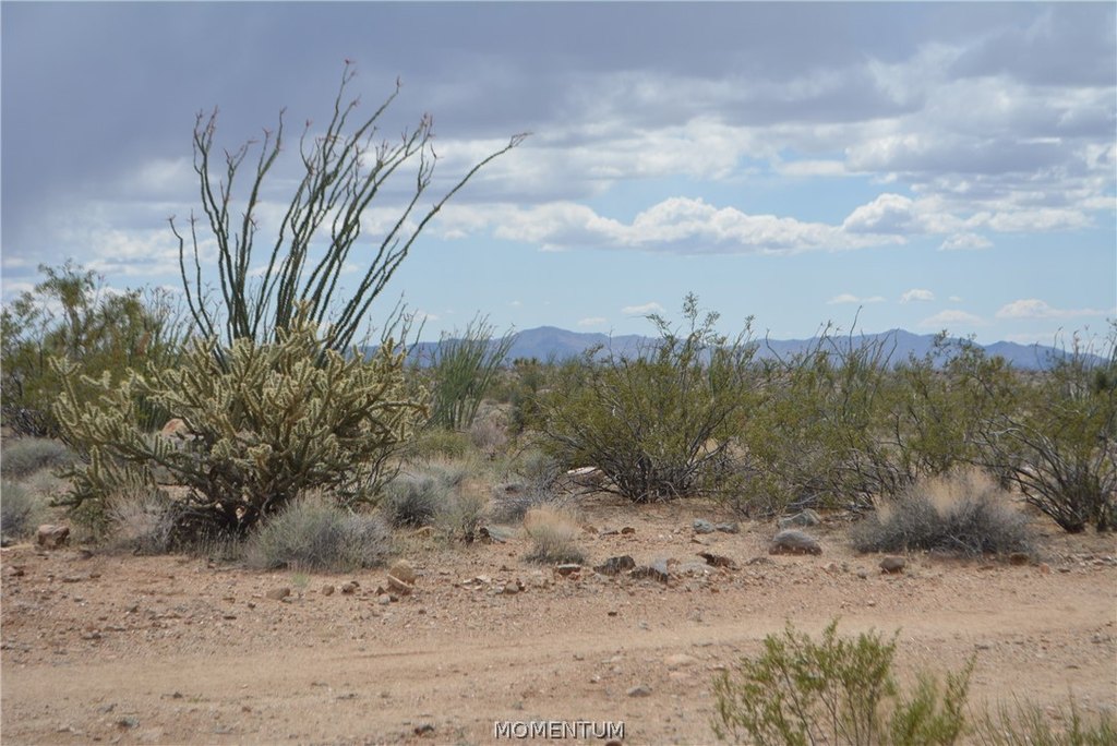 Picture 22