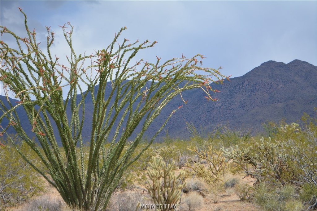 Picture 45