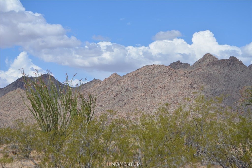 Picture 49