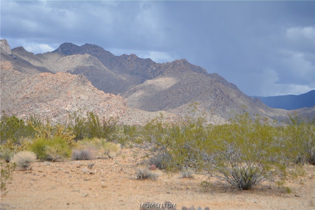 Picture 13
