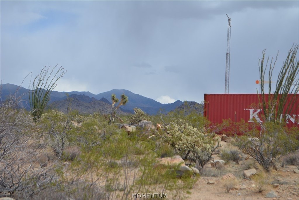 Picture 21