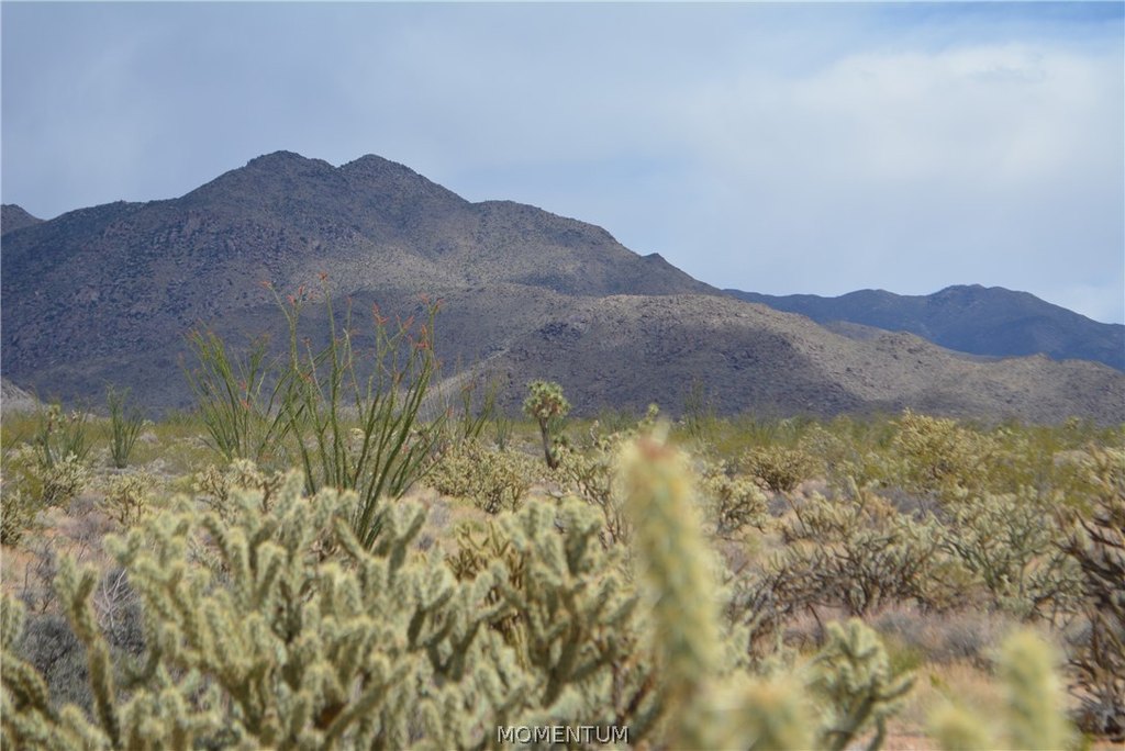 Picture 41