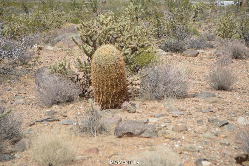 Picture 30