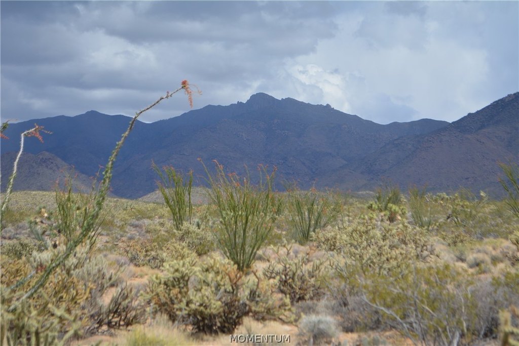 Picture 34
