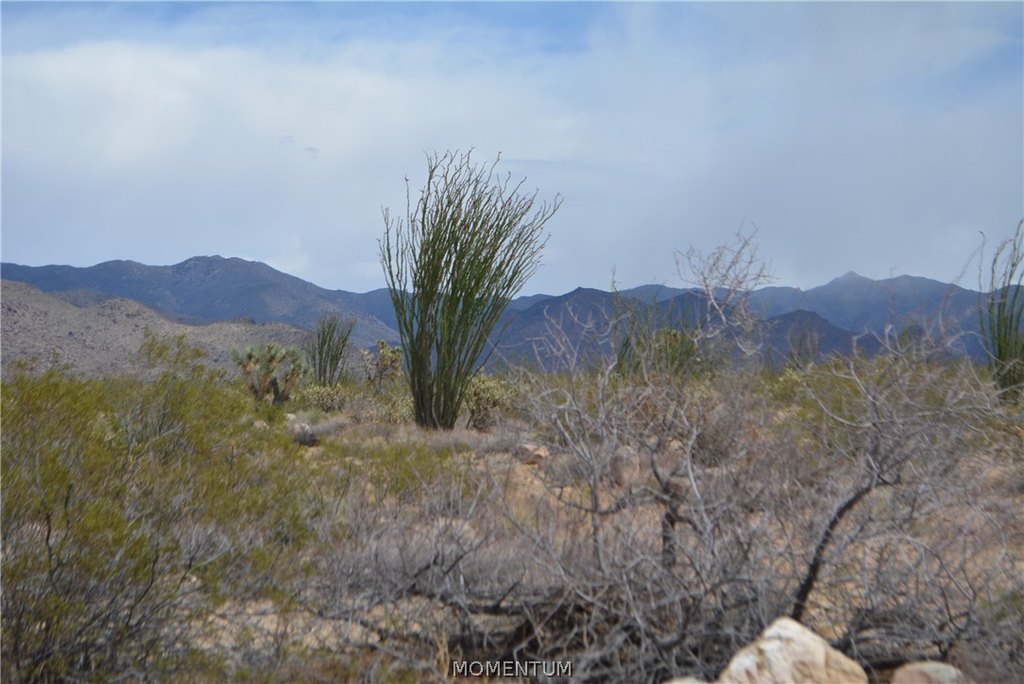 Picture 19