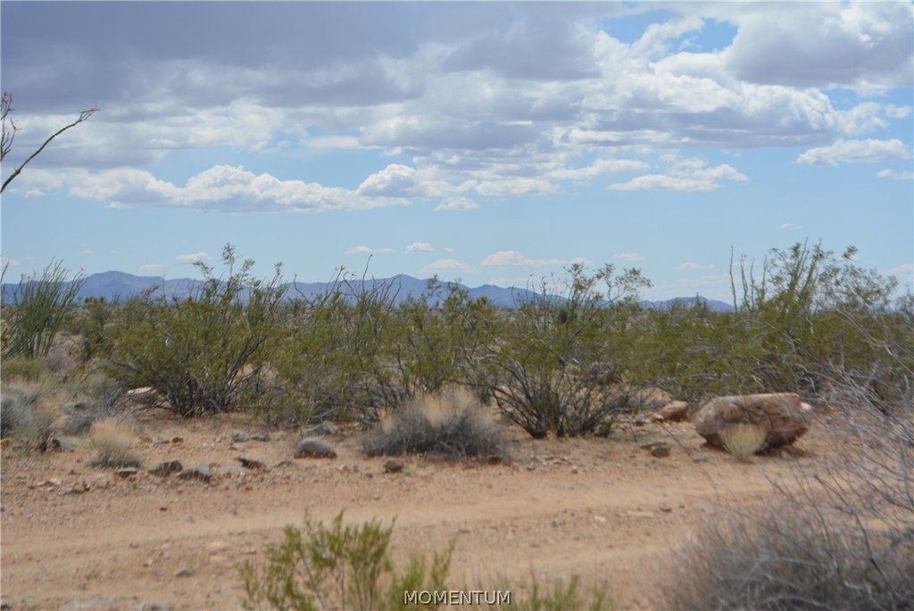 Picture 23