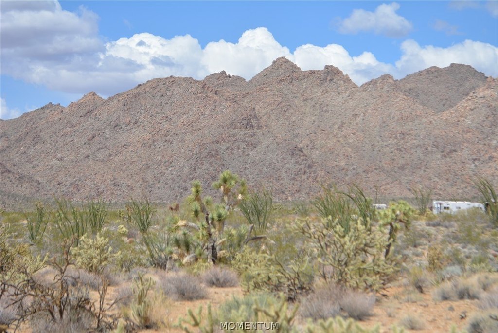 Picture 39
