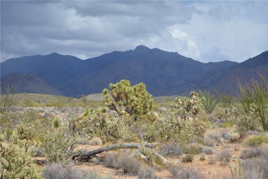 Picture 40
