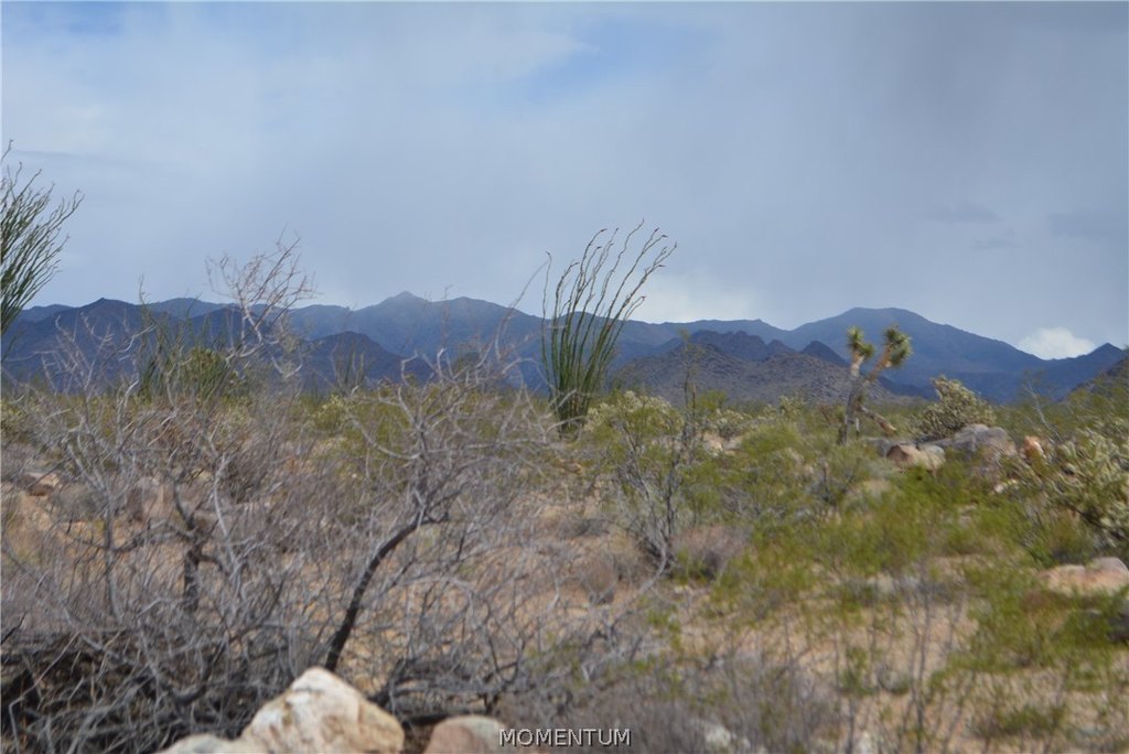 Picture 20