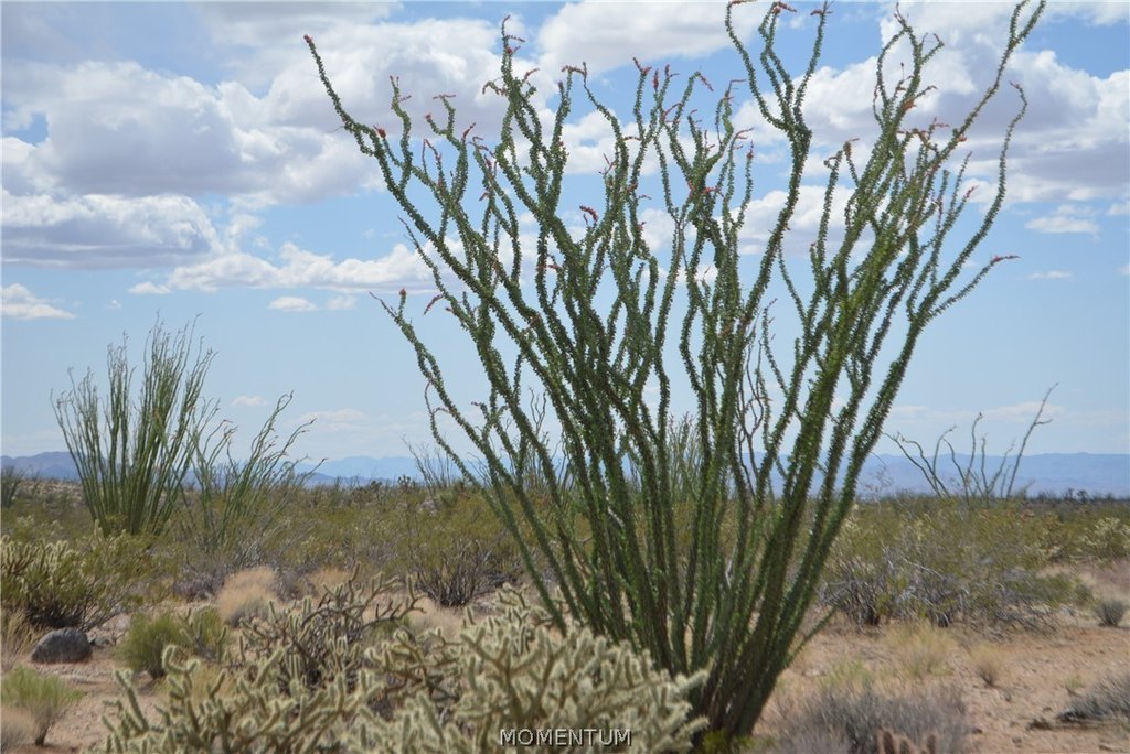 Picture 32
