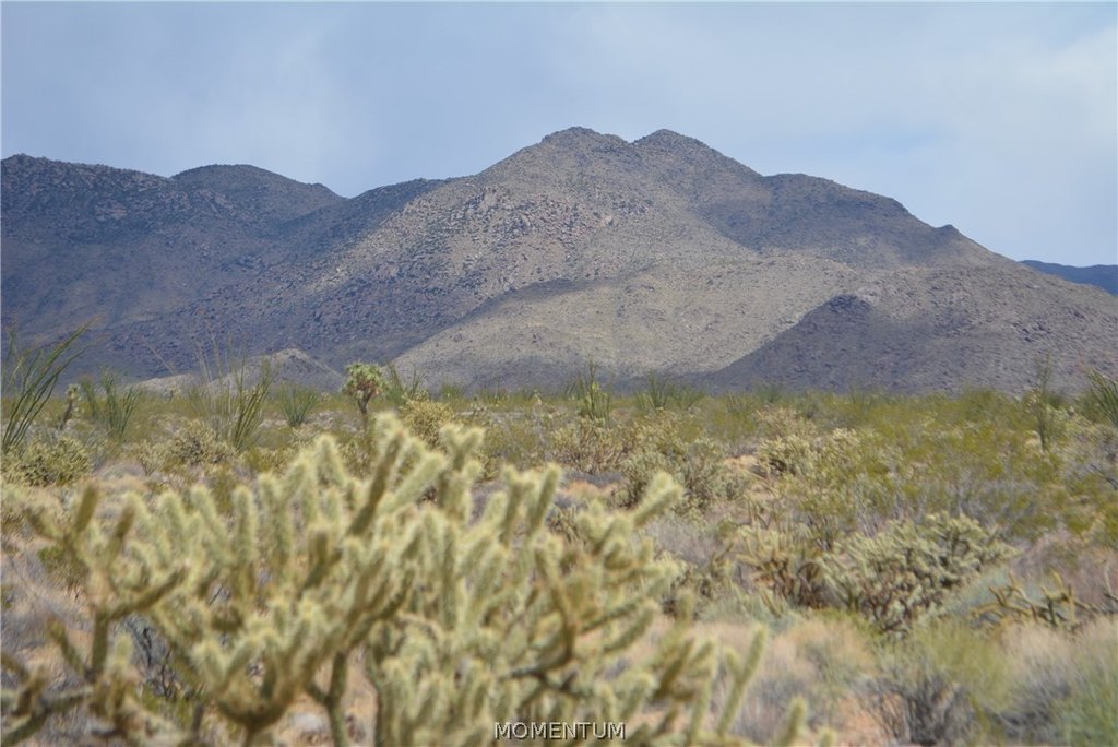Picture 33
