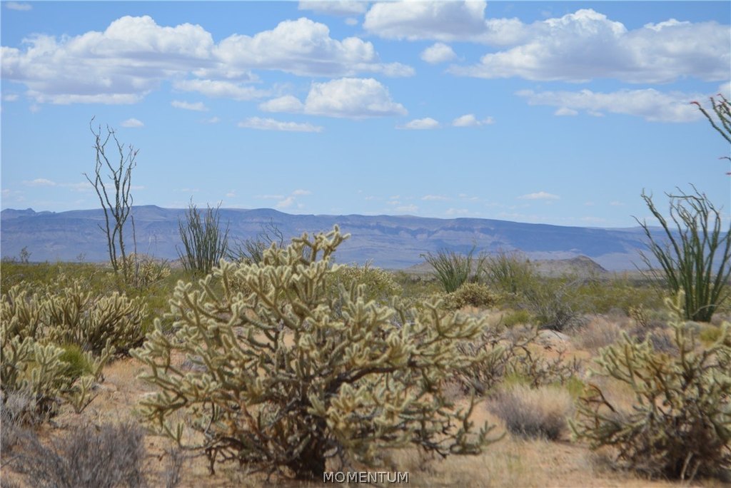 Picture 29