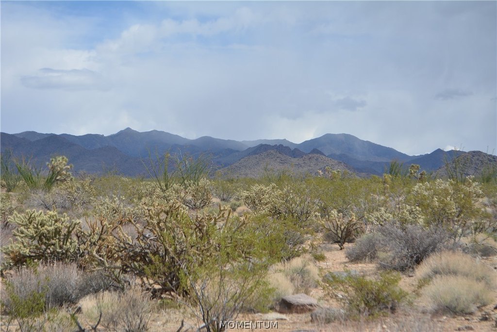 Picture 43