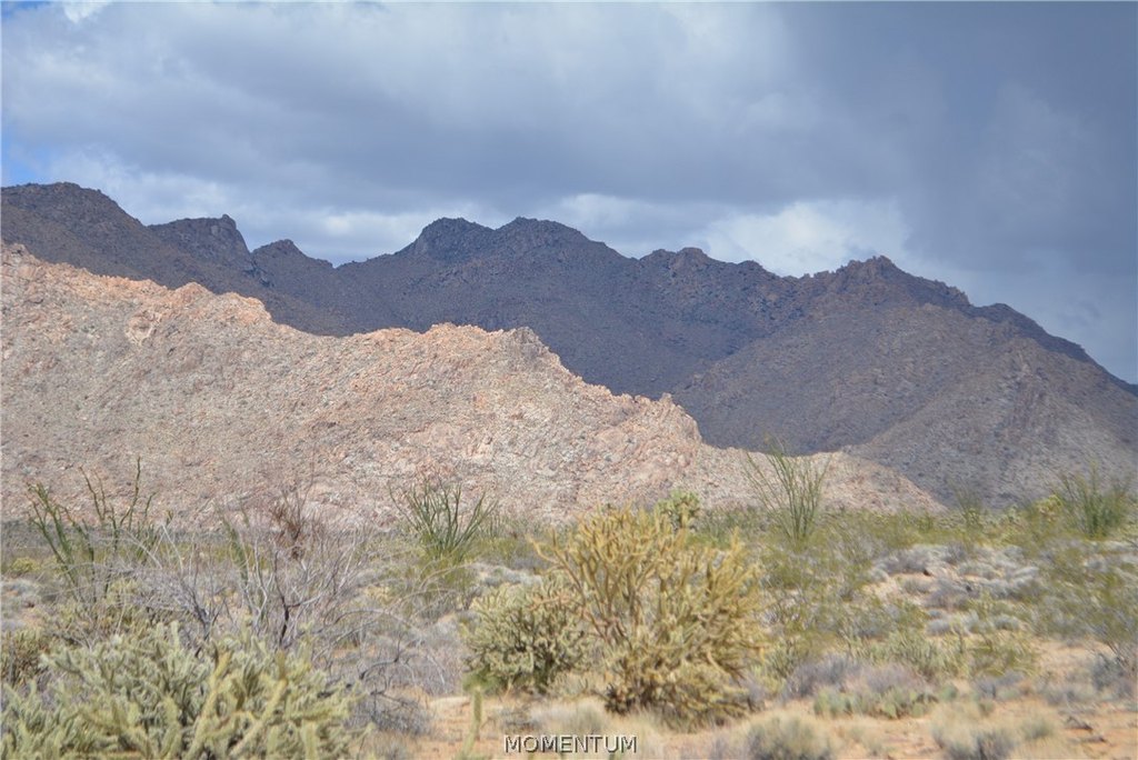 Picture 42