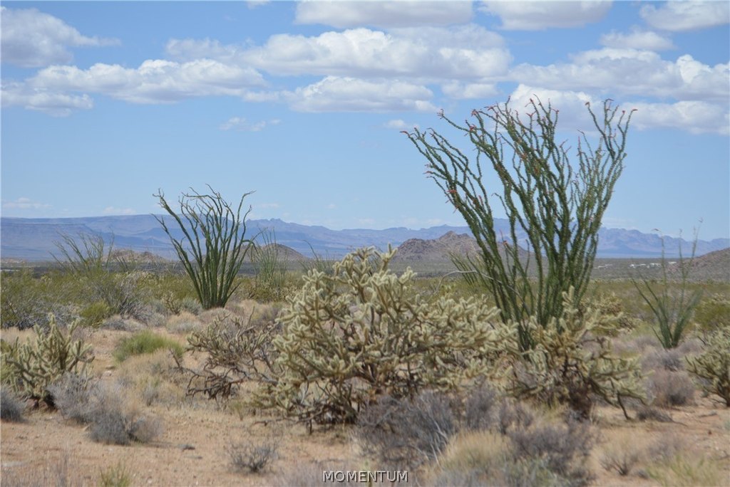 Picture 27
