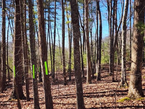 Residential Land in Murphy, NC