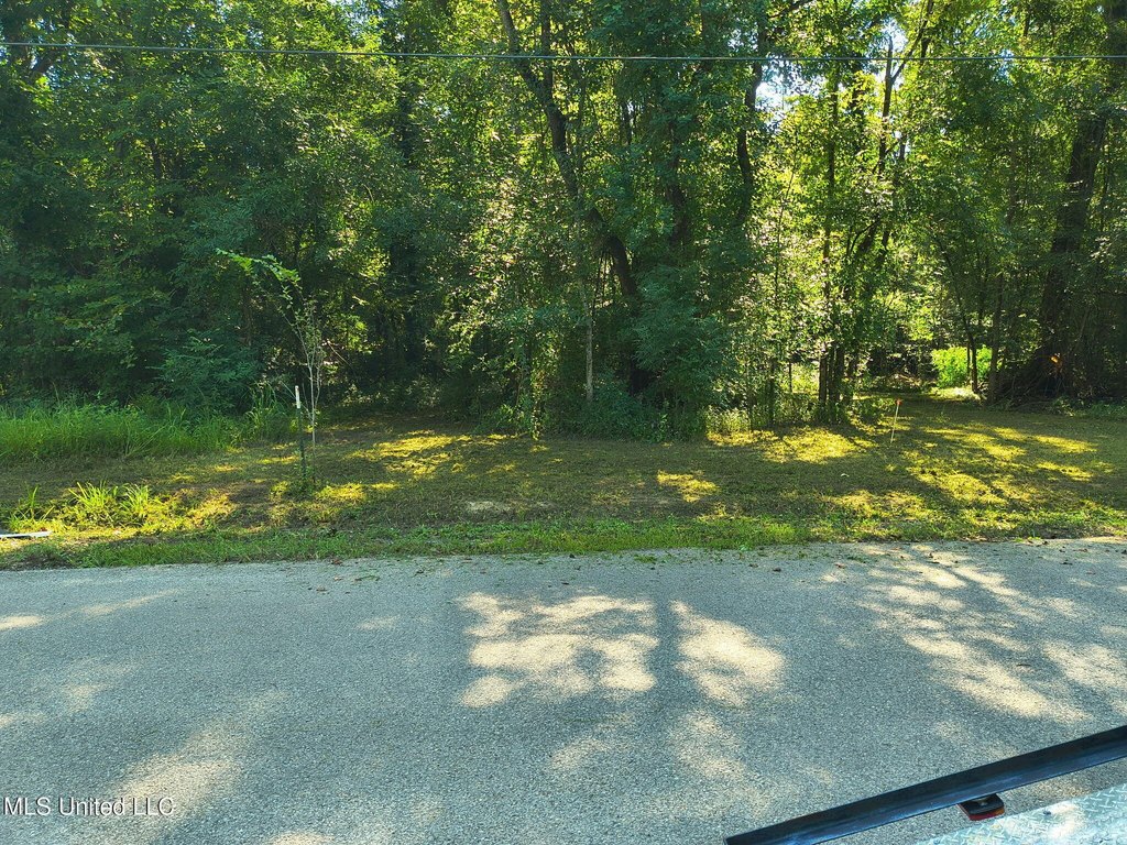 Picture 6