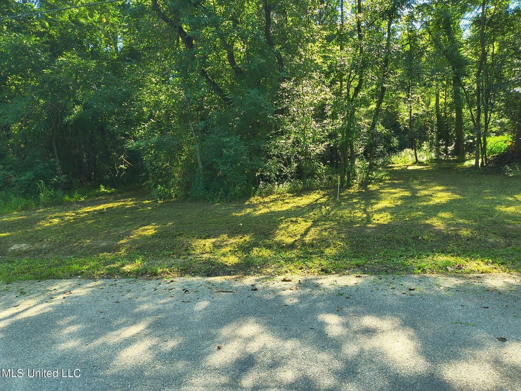 Picture 5
