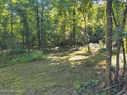 LAND - Lucedale, MS