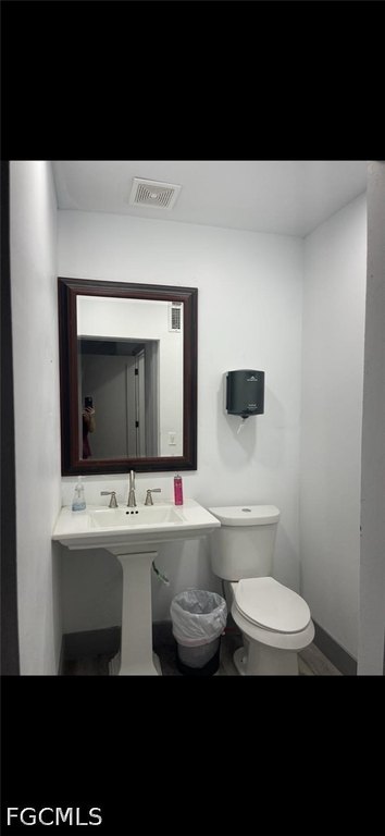 Picture 14