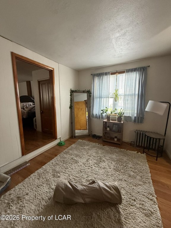 Picture 19