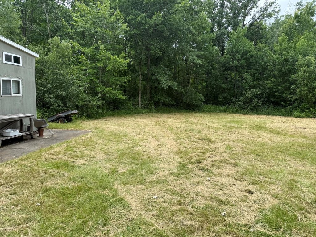 Picture 4