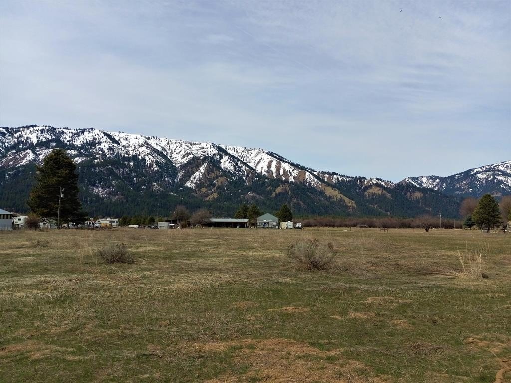 Picture 2