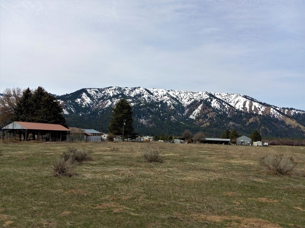 Picture 4