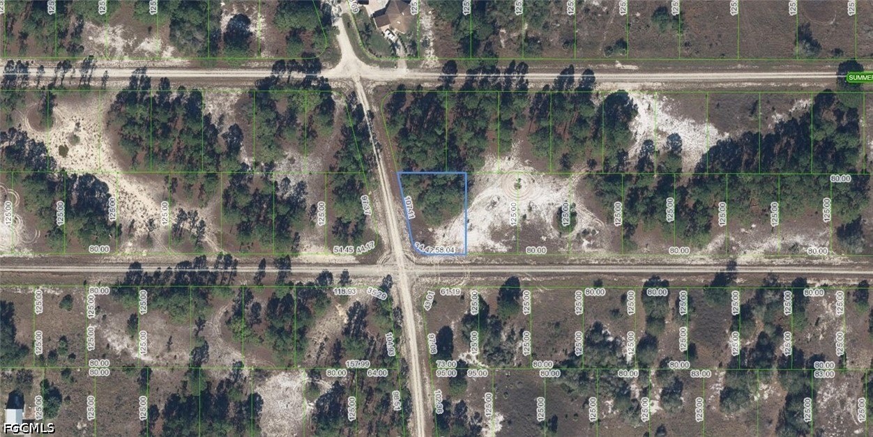 Lake Placid Vacant Land