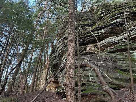 LAND - Rockbridge, OH