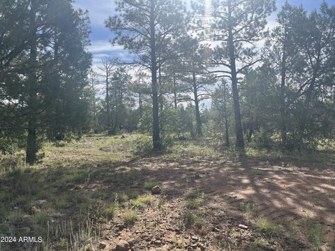 Lakeside, AZ Wooded Lot