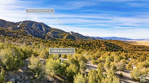 Agricultural Land with Mountain Views